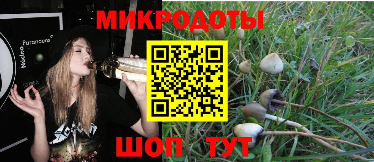 Галлюциногенные грибы прущие грибы Бутурлиновка
