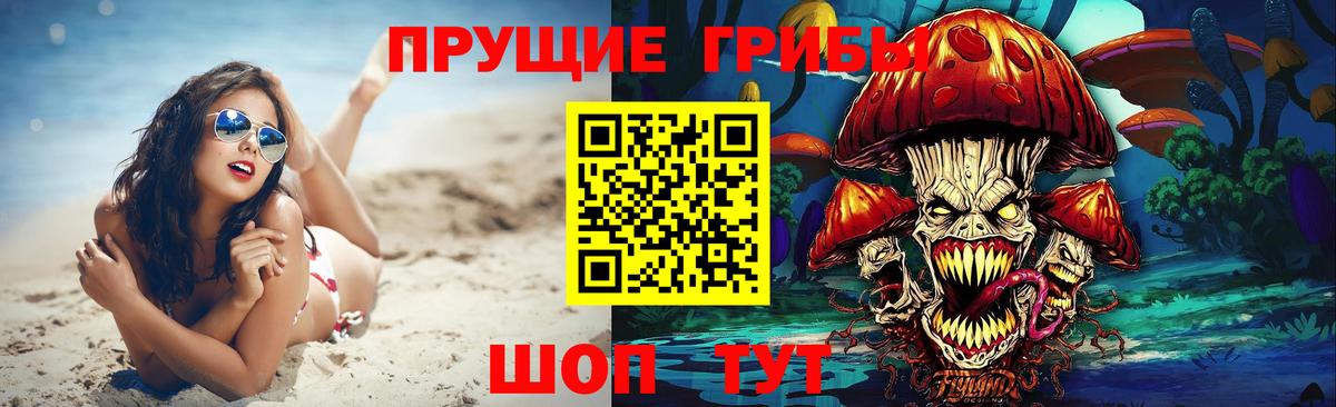 Псилоцибиновые грибы Cubensis  Галлюциногенные грибы GOLDEN TEACHER  Вход с VPN  Бутурлиновка 